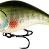 13 Fishing Jabber Jaw Hybrid Squarebill Crankbait -13 Fishing Store 13 fishing jabber jaw hybrid squarebill crankbait 99919.1651361443