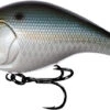 13 Fishing Jabber Jaw Hybrid Squarebill Crankbait - Natty Light
