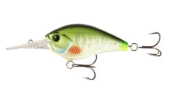 13 Fishing Cliff Banger Medium-Deep Diving Crankbait -13 Fishing Store 32254099619929