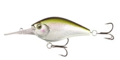 13 Fishing Cliff Banger Medium-Deep Diving Crankbait -13 Fishing Store 32254099718233