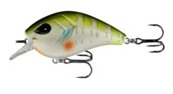 13 Fishing Flatty Daddy 2 1/2 Inch Flat-Sided Squarebill Crankbait 14 13 Fishing Flatty Daddy 2 1/2 Inch Flat-Sided Squarebill Crankbait -13 Fishing Store 39255574184025