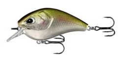 13 Fishing Flatty Daddy 2 1/2 Inch Flat-Sided Squarebill Crankbait 15 13 Fishing Flatty Daddy 2 1/2 Inch Flat-Sided Squarebill Crankbait -13 Fishing Store 39255574216793