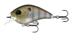 13 Fishing Flatty Daddy 2 1/2 Inch Flat-Sided Squarebill Crankbait 18 13 Fishing Flatty Daddy 2 1/2 Inch Flat-Sided Squarebill Crankbait -13 Fishing Store 39255574315097