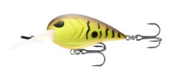 13 Fishing Gordito 2 Inch Medium Diving Crankbait