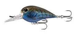 13 Fishing Gordito 2 Inch Medium Diving Crankbait -13 Fishing Store 39332617879641