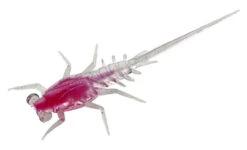 13 Fishing - Bernie - Panfish Plastics 19 13 Fishing - Bernie - Panfish Plastics -13 Fishing Store BN S 1 Z 28475.1604077681