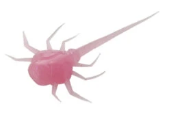 13 Fishing - Coconut Crab - Panfish Plastics -13 Fishing Store CC BG 1 Z 64551.1604078623