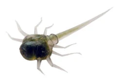 13 Fishing Store -13 Fishing Store CC GH 1 Z 33901.1604078623