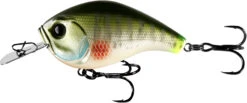 13 Fishing Jabber Jaw Hybrid Squarebill -13 Fishing Store JJC60 08