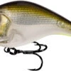 13 Fishing Jabber Jaw Hybrid Squarebill -13 Fishing Store JJC60 23