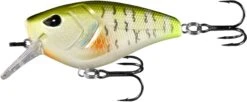 13 Fishing Warthog Squarebill Crankbait -13 Fishing Store W60 4 08 c967850e 564a 4847 9628 d7d32505e697