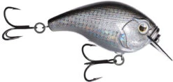 13 Fishing Scamp 1.5/2.5 Squarebill Crankbait 24 13 Fishing Scamp 1.5/2.5 Squarebill Crankbait -13 Fishing Store flipDisco shad