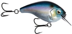 13 Fishing Scamp 1.5/2.5 Squarebill Crankbait 27 13 Fishing Scamp 1.5/2.5 Squarebill Crankbait -13 Fishing Store flipFantasy shad