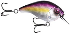 13 Fishing Scamp 1.5/2.5 Squarebill Crankbait 37 13 Fishing Scamp 1.5/2.5 Squarebill Crankbait -13 Fishing Store flipPurple Nurple